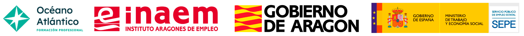 INAEM26-OA